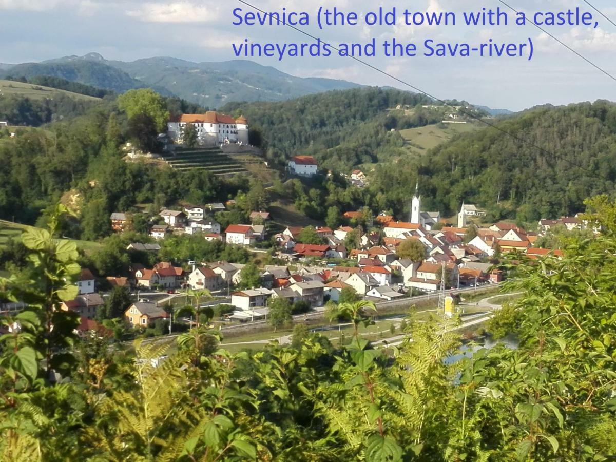 Getaway "At The Three Lights" Villa Sevnica Buitenkant foto